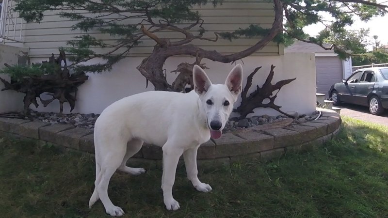 John , Catherine and Lacie