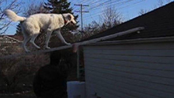 Bits and Bites 06.Roof.Ramp