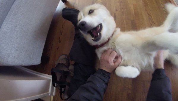 Sadie 04.Sadie Greeting