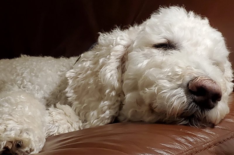 Eugene and Bob and Sharon