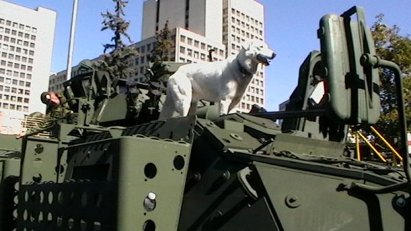 Nanuq of the North (RIP my best friend Dec.2002-Apr.2017) 03.Onwards To Victory