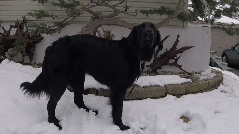 Andrea, Mallory, Lauren (and Toby)