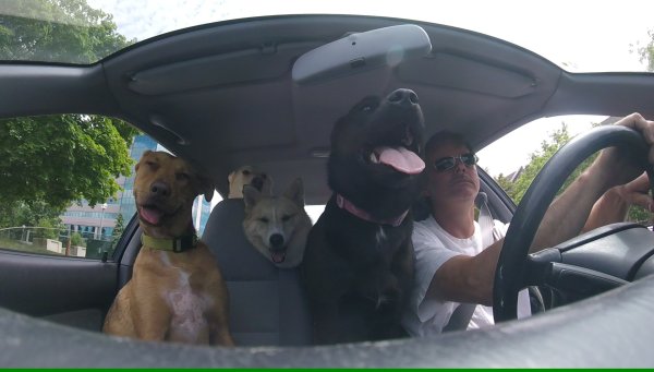 Bits and Bites 01.Emmy the co pilot.2016 06 18