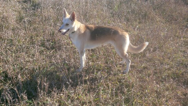 Sage 01.Sage Good Times