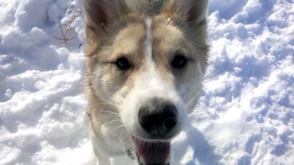 Sadie 01.Sadie