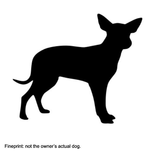 Dorothy Dan and Samantha