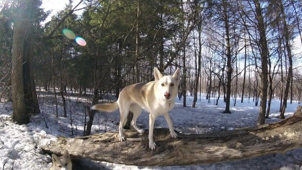 Sage 03.Sage.2017 03 09