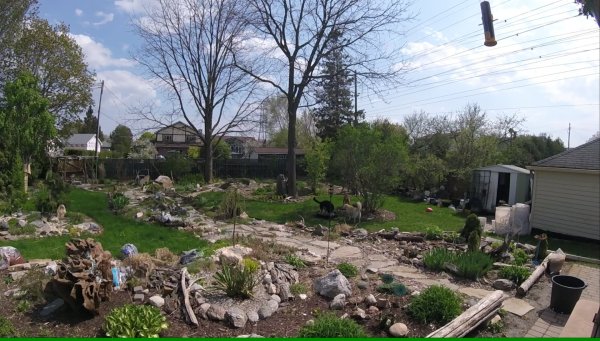 Bits and Bites 02.Part of My Yard.2017 05 23