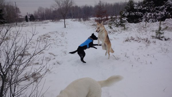 Sage 07.Emmy And Sage