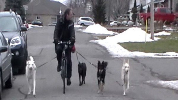 Bits and Bites 06.My First Pack