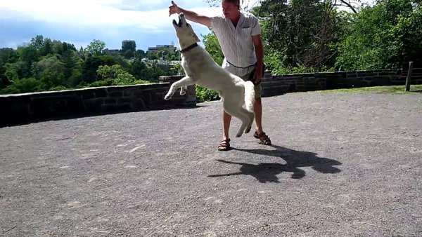 Bits and Bites 03Nanuq.Grabs.Air