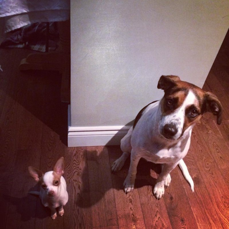 Martin , Travis and Bruce